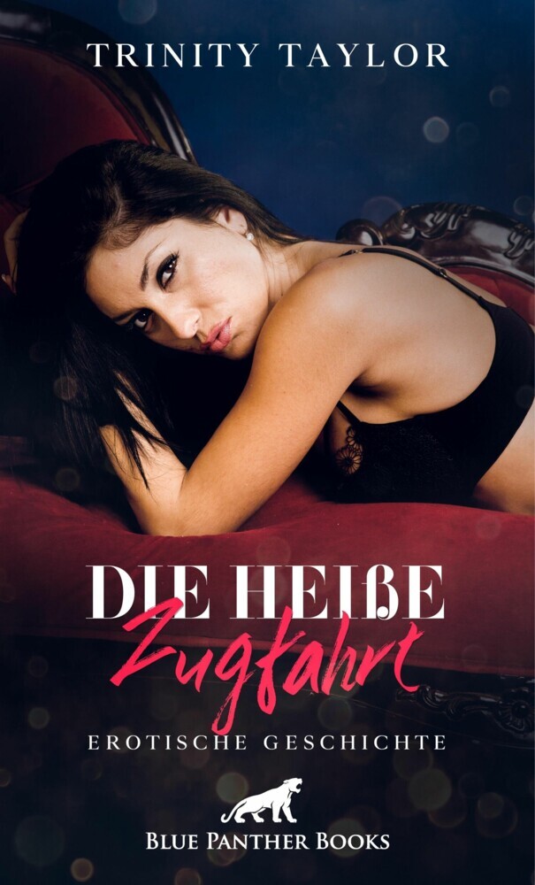Die heiße Zugfahrt | Erotische Geschichte main product photo