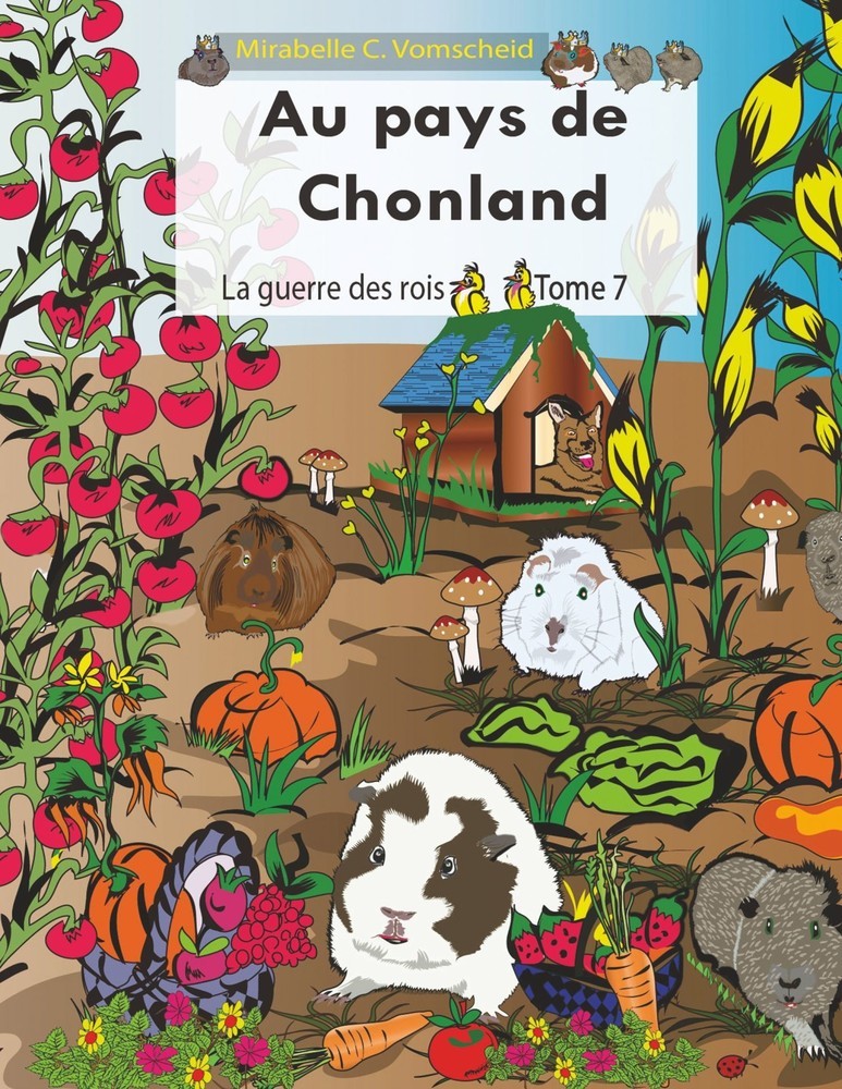 Au pays de Chonland, La guerre des rois main product photo