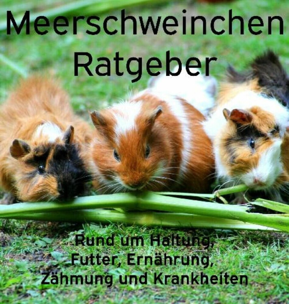 Meerschweinchen Ratgeber. main product photo