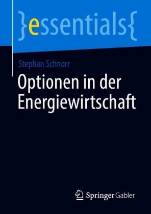 Optionen in der Energiewirtschaft