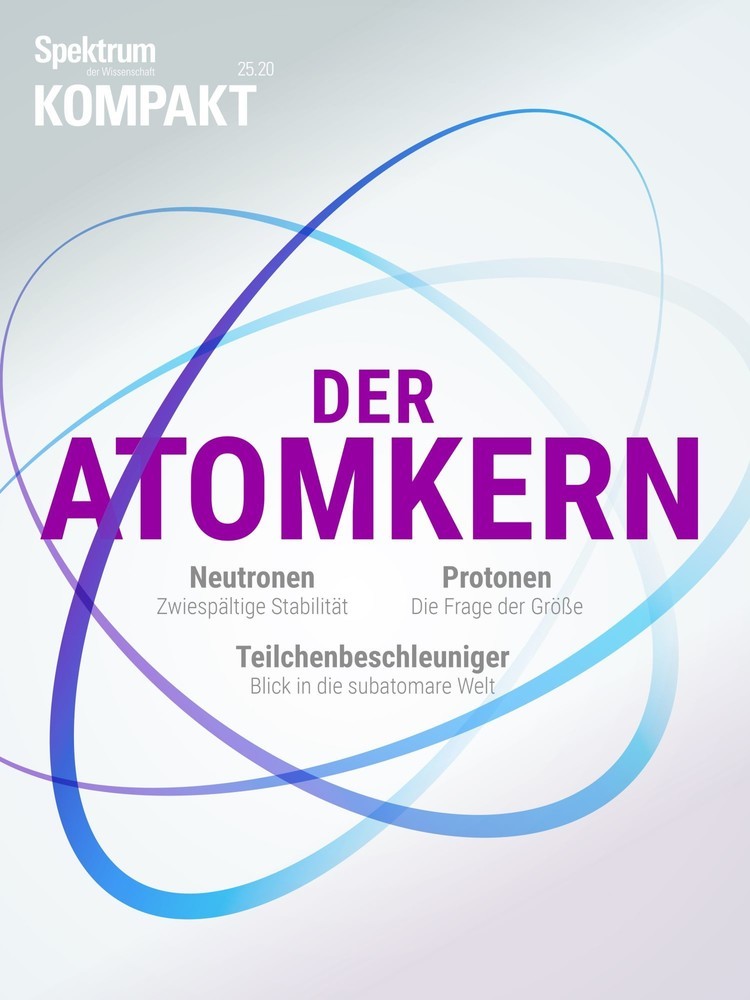 Spektrum Kompakt - Der Atomkern main product photo