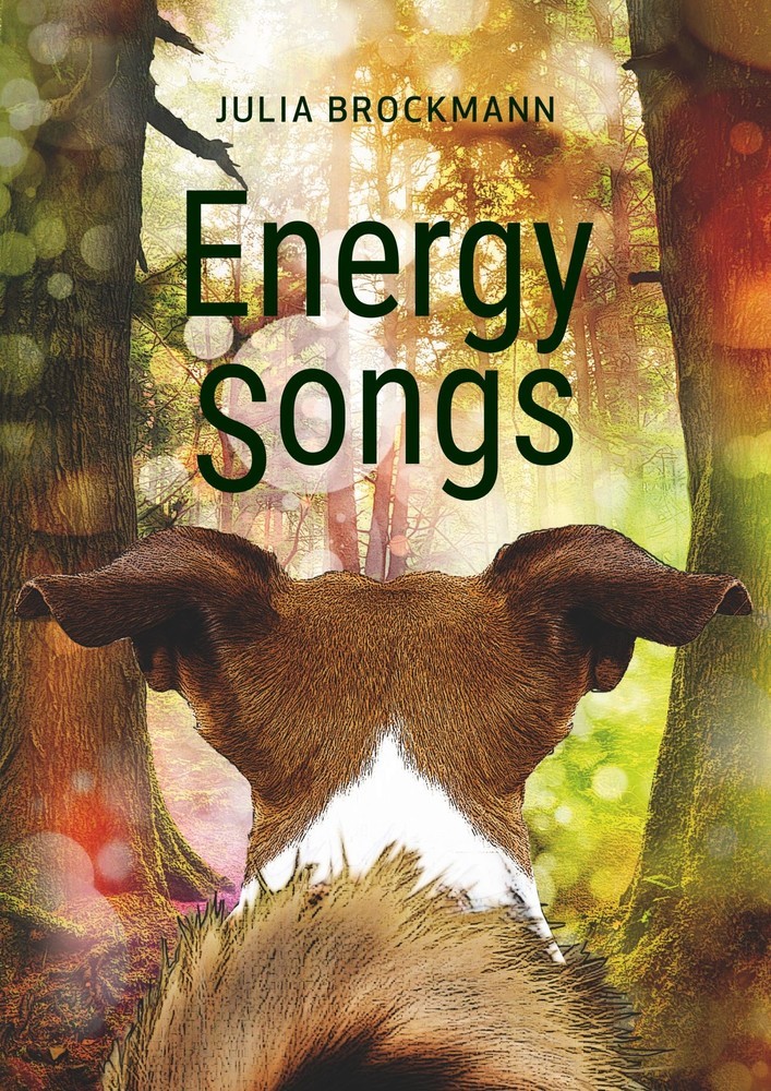 Energy Songs main product photo