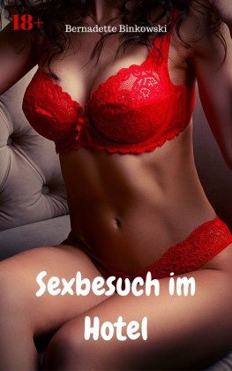 Sexbesuch im Hotel