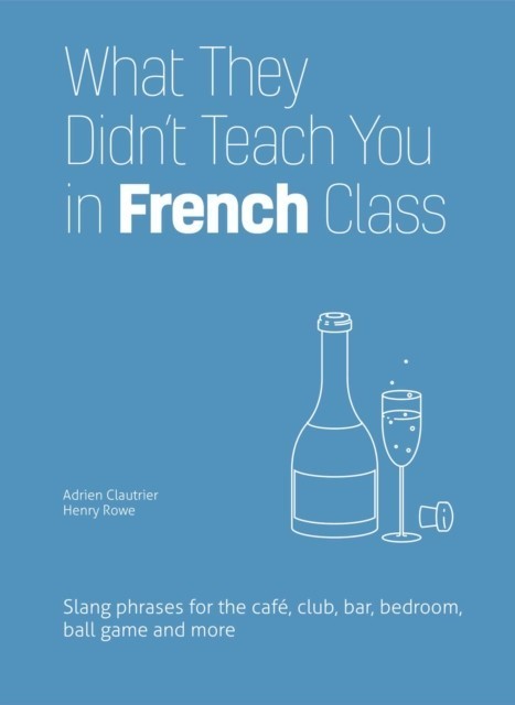 What They Didn't Teach You in French Class main product photo