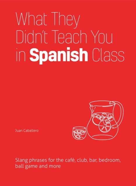What They Didn't Teach You in Spanish Class main product photo