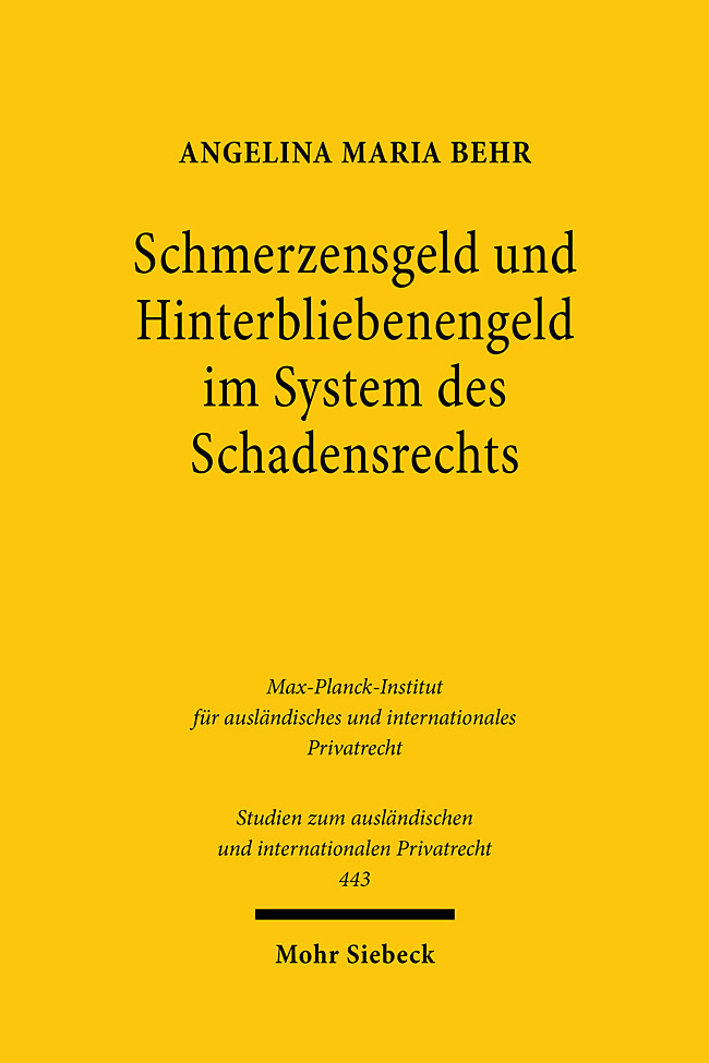 Schmerzensgeld und Hinterbliebenengeld im System des Schadensrechts main product photo