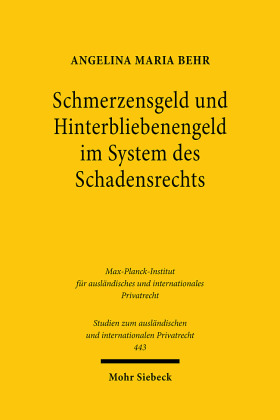 Schmerzensgeld und Hinterbliebenengeld im System des Schadensrechts