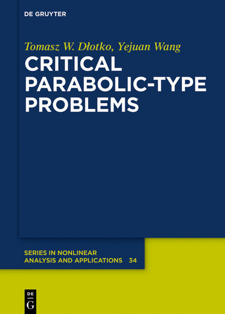 Critical Parabolic-Type Problems main product photo