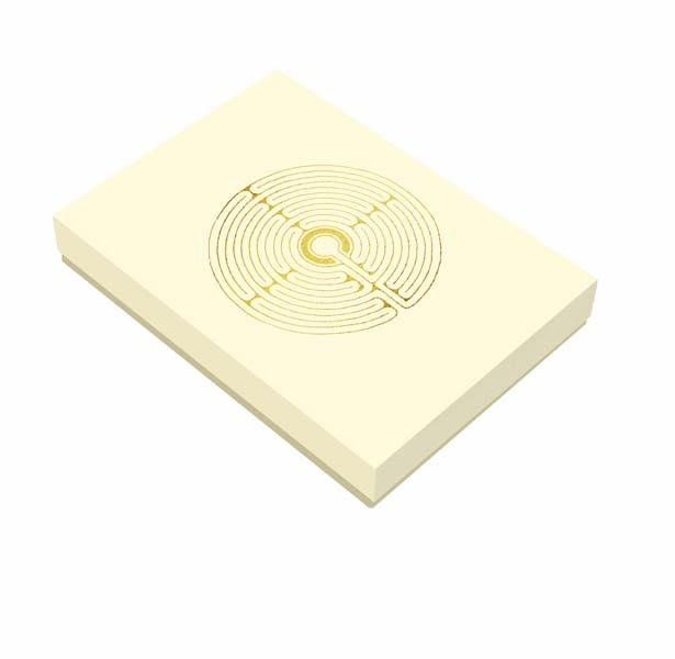 Labyrinth - Mein Leben, Premium-Kartenbox main product photo