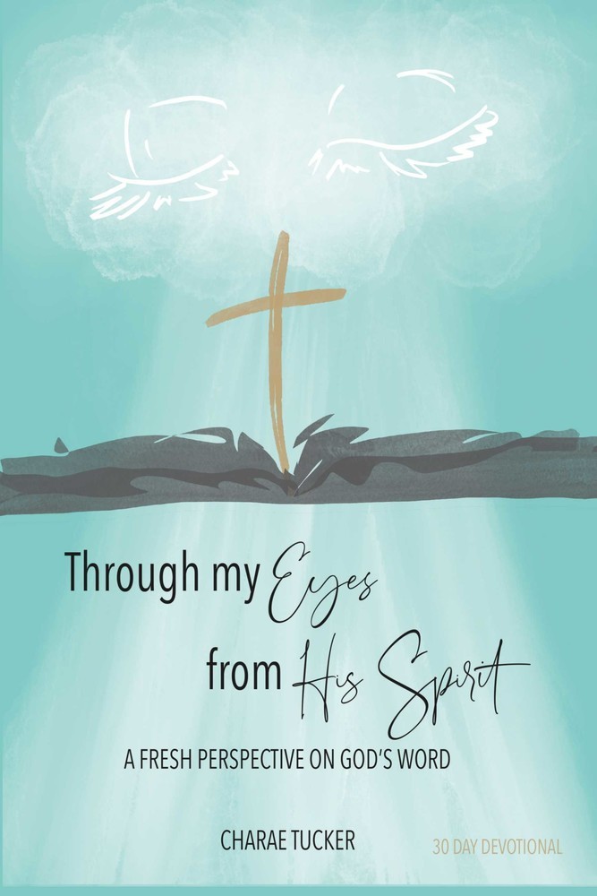 Through My Eyes from His Spirit main product photo