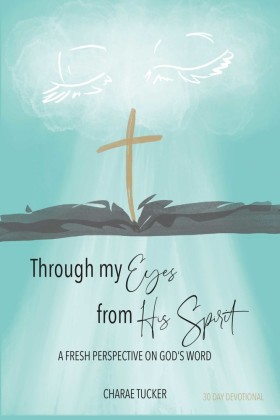 Through My Eyes from His Spirit
