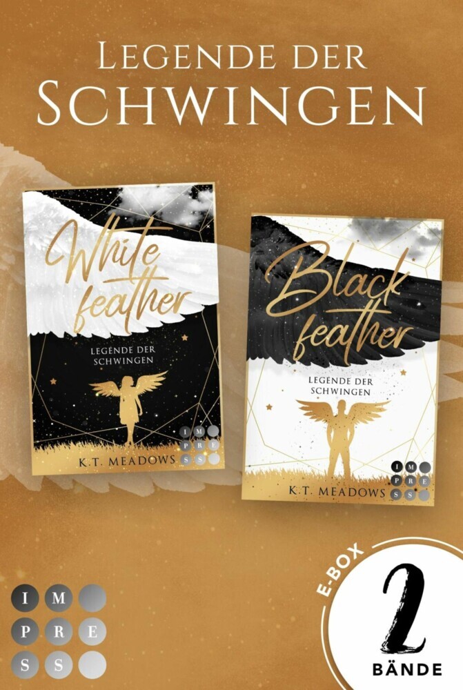 Sammelband der himmlisch-dramatischen Buchserie »Legende der Schwingen« (Legende der Schwingen) main product photo