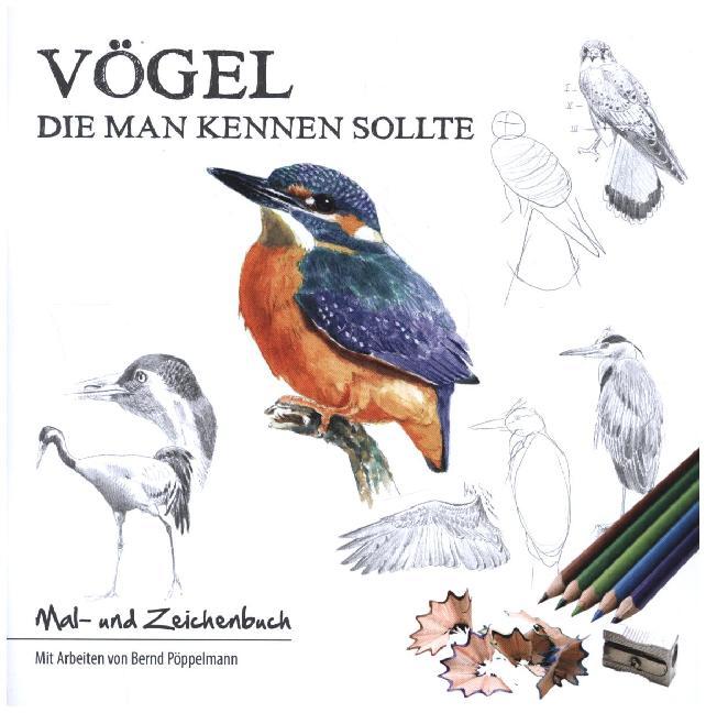 Vögel, die man kennen sollte main product photo