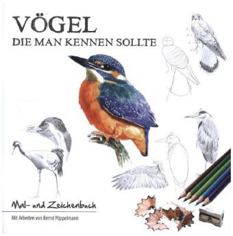 Vögel, die man kennen sollte