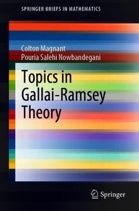 Topics in Gallai-Ramsey Theory