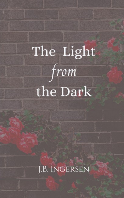 The Light From the Dark main product photo