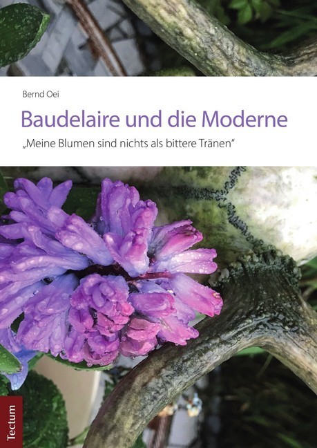 Baudelaire und die Moderne main product photo