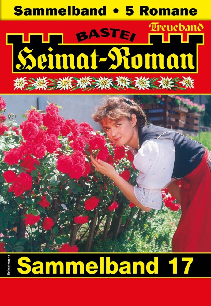 Heimat-Roman Treueband 17 main product photo