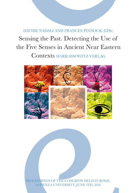 Sensing the Past main product photo