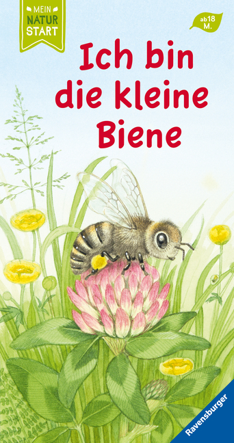 Ich bin die kleine Biene main product photo