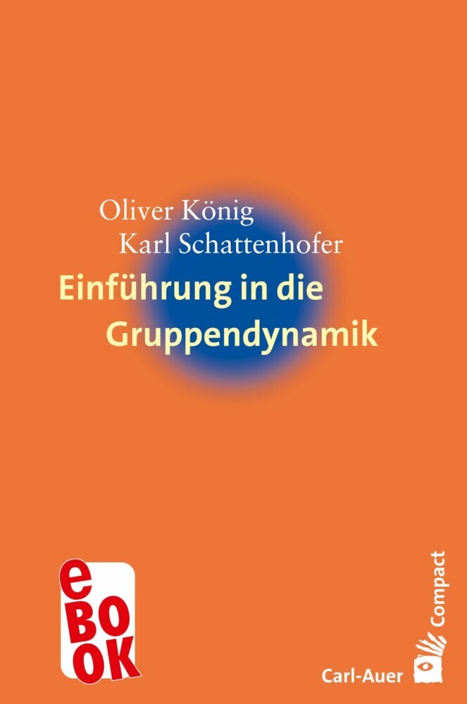 Einführung in die Gruppendynamik main product photo