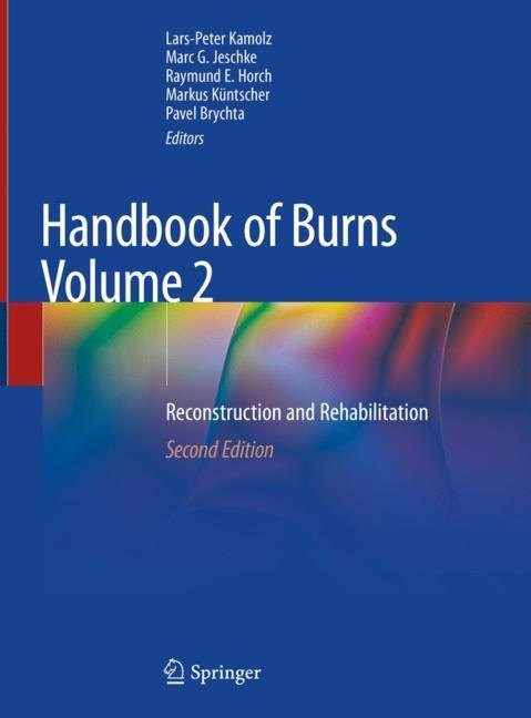 Handbook of Burns Volume 2 main product photo