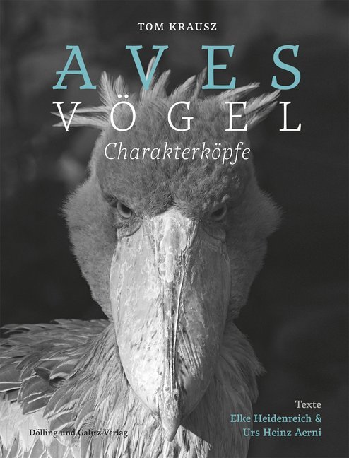 Aves | Vögel. Charakterköpfe main product photo