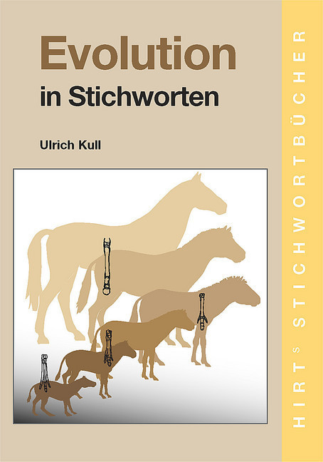 Evolution in Stichworten main product photo