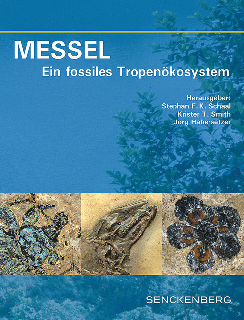 MESSEL - Ein fossiles Tropenökosystem main product photo