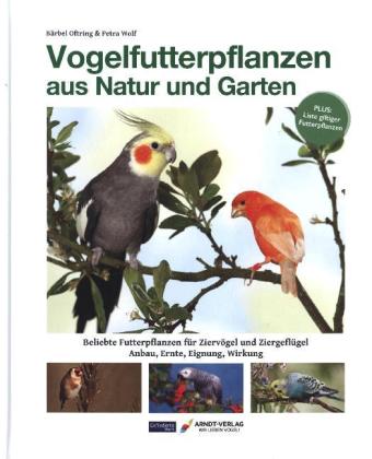 Vogelfutterpflanzen aus Natur und Garten