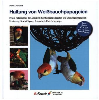 Haltung von Weißbauchpapageien