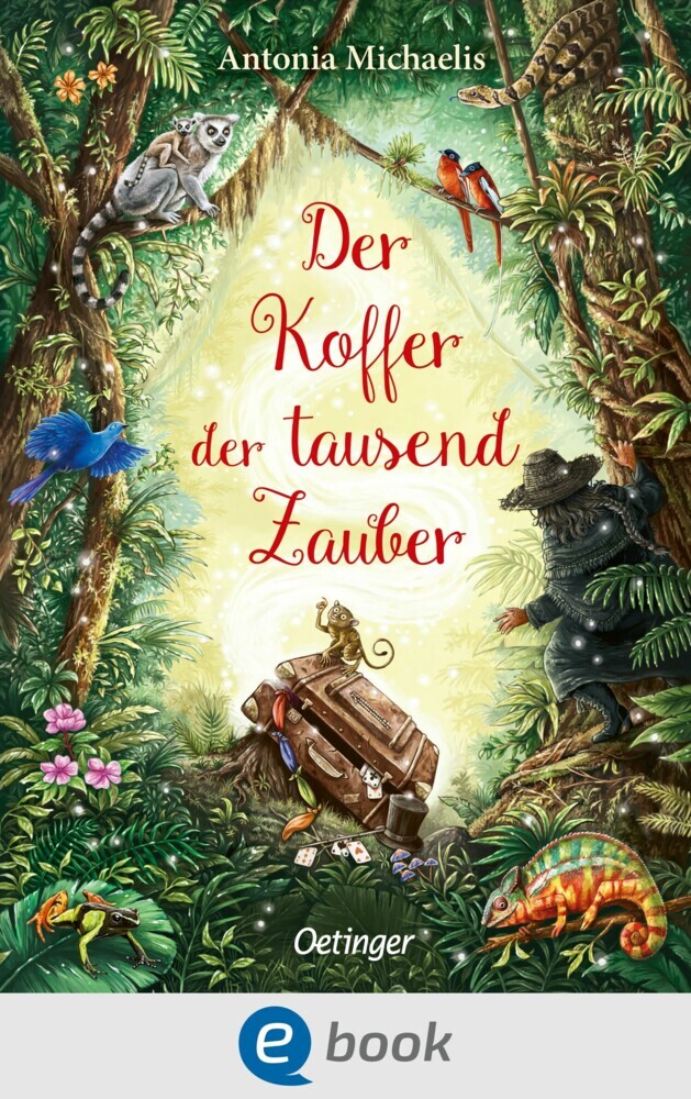 Der Koffer der tausend Zauber main product photo