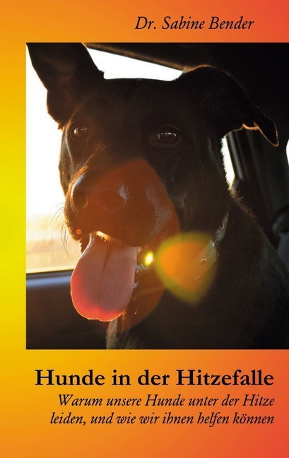 Hunde in der Hitzefalle main product photo