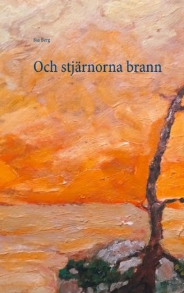 Och stjärnorna brann; .