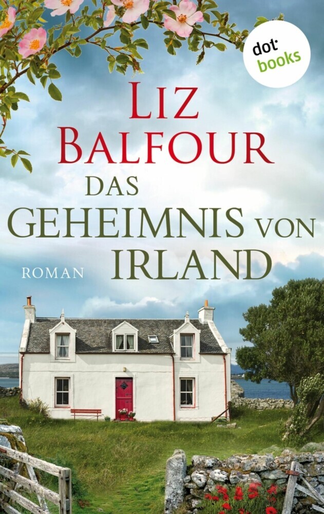 Das Geheimnis von Irland - oder: Ich schreib dir sieben Jahre main product photo
