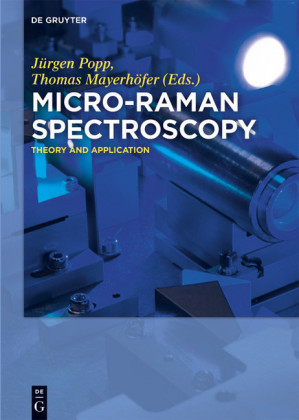 Micro-Raman Spectroscopy; .