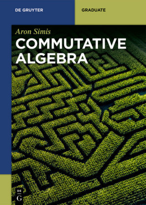Commutative Algebra; .