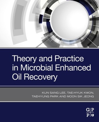 Theory and Practice in Microbial Enhanced Oil Recovery; .