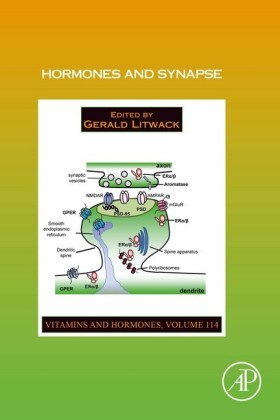 Hormones and Synapse; .