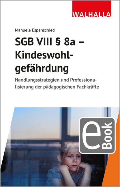 SGB VIII 8a - Kindeswohlgefährdung main product photo