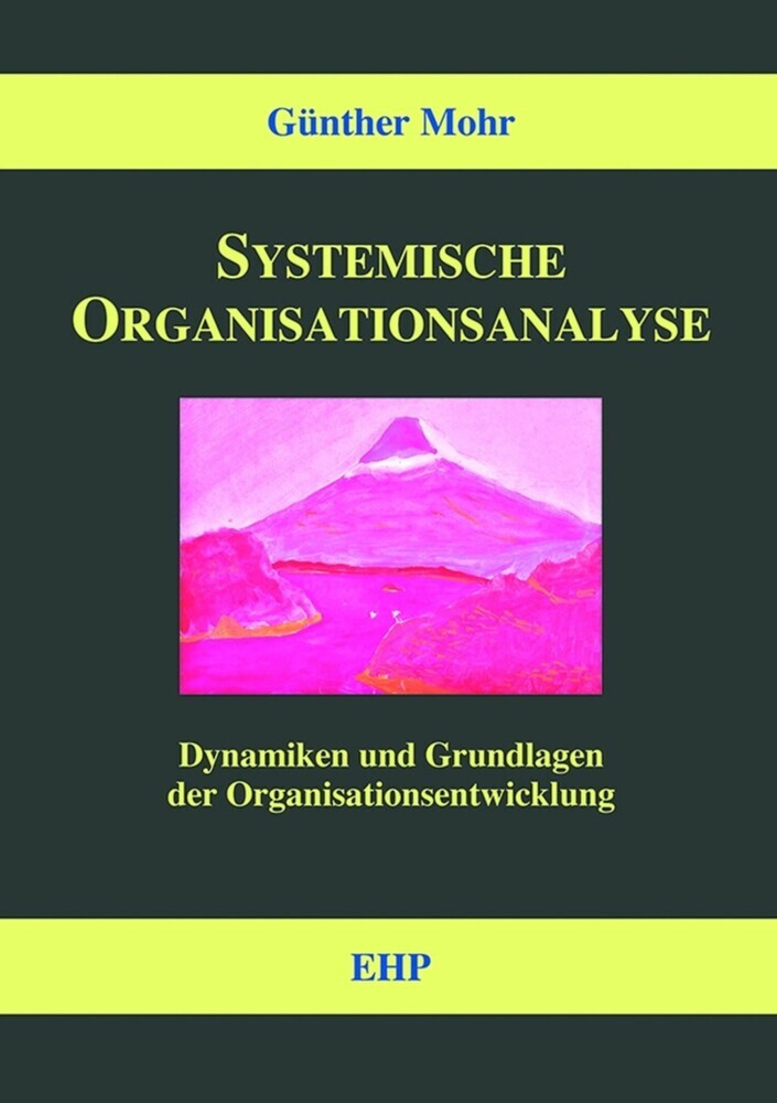 Systemische Organisationsanalyse main product photo