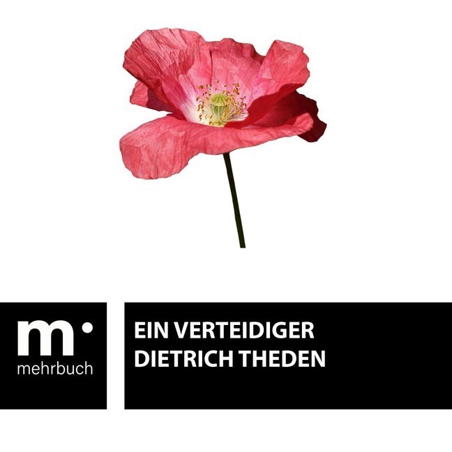 Ein Verteidiger main product photo