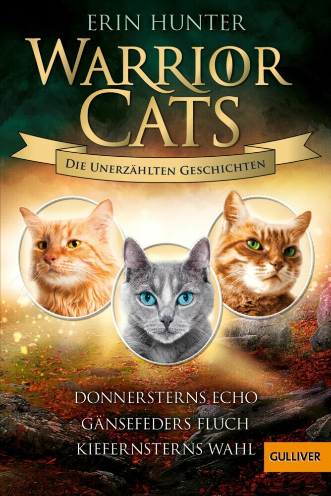Warrior Cats - Die unerzählten Geschichten main product photo