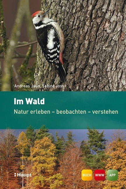 Im Wald main product photo