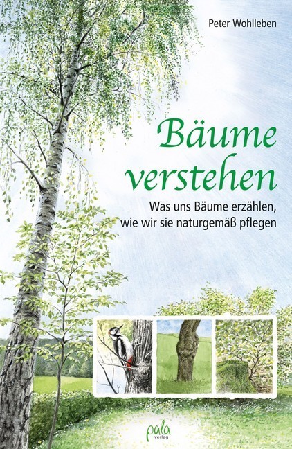 Bäume verstehen main product photo