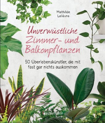 Unverwüstliche Zimmer- und Balkonpflanzen
