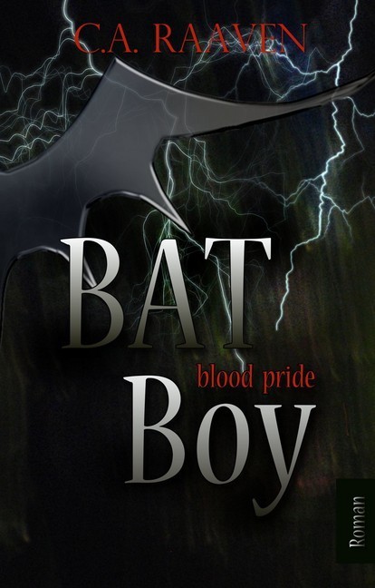 BAT Boy 2 main product photo