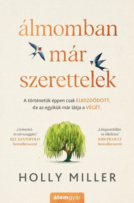 Álmomban már szerettelek main product photo