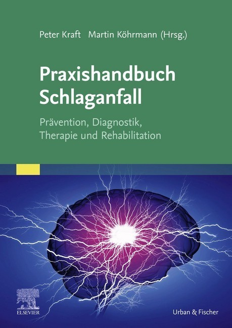 Praxishandbuch Schlaganfall main product photo