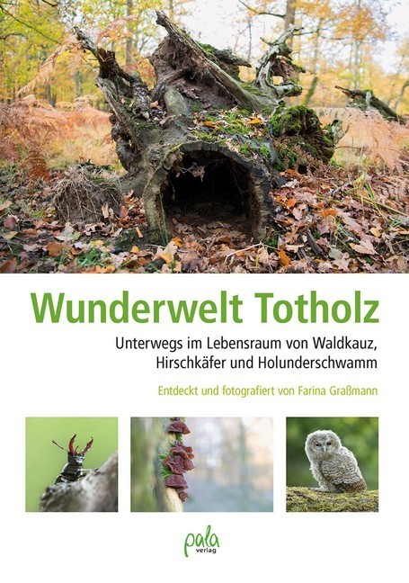 Wunderwelt Totholz main product photo